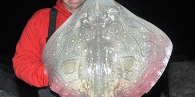 Chris Clark with Specimen Ray.JPG